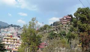 Shimla View Homestay