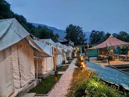 The Wrong Address Camp and Resort