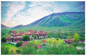 Tree Of Life Vantara Resort 