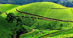 KGP HOMESTAY