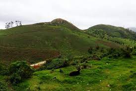 Hill View Dream Homestay